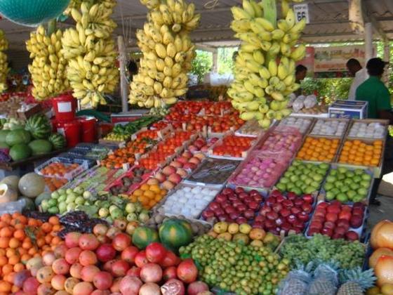 E-Coli Scare Affected Farmers In UK Must Act Speedily 
